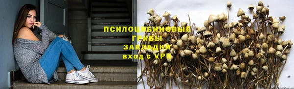 молекула духа Нязепетровск