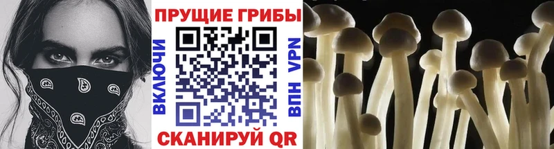 гидра ONION Озёры это клад Галлюциногенные грибы мухоморы