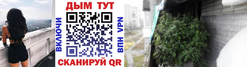 Бошки Шишки сатива где можно купить Озёры